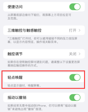 卢龙苹果授权维修站分享iPhone轻点无法唤醒怎么办 