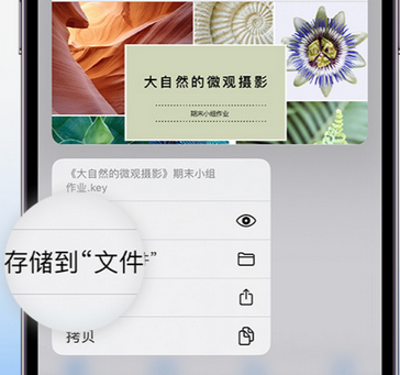 卢龙apple维修中心分享iPhone文件应用中存储和找到下载文件