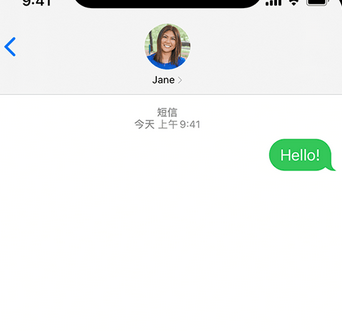 卢龙apple维修iPhone上无法正常发送iMessage信息