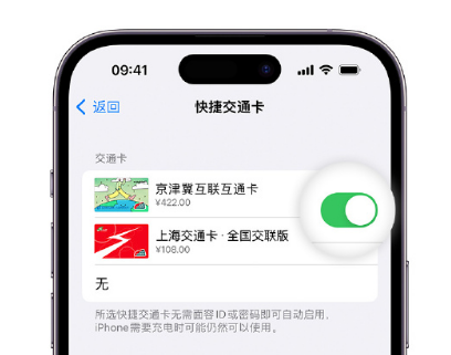 卢龙apple维修点分享iPhone上更换Apple Pay快捷交通卡手绘卡面 