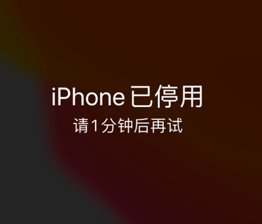 卢龙苹果手机维修分享:iPhone 显示“不可用”或“已停用”怎么办？还能保留数据吗？ 