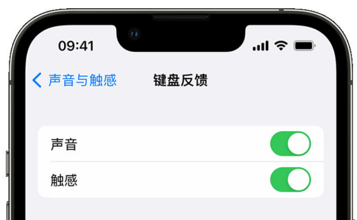 卢龙苹果手机维修分享iPhone 14触感键盘使用方法 