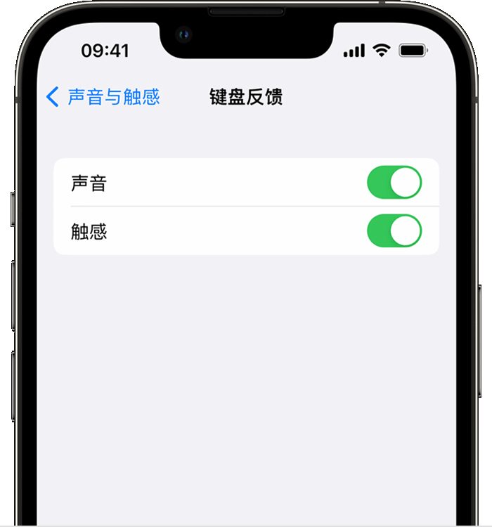 卢龙苹果14维修店分享如何在 iPhone 14 机型中使用触感键盘 