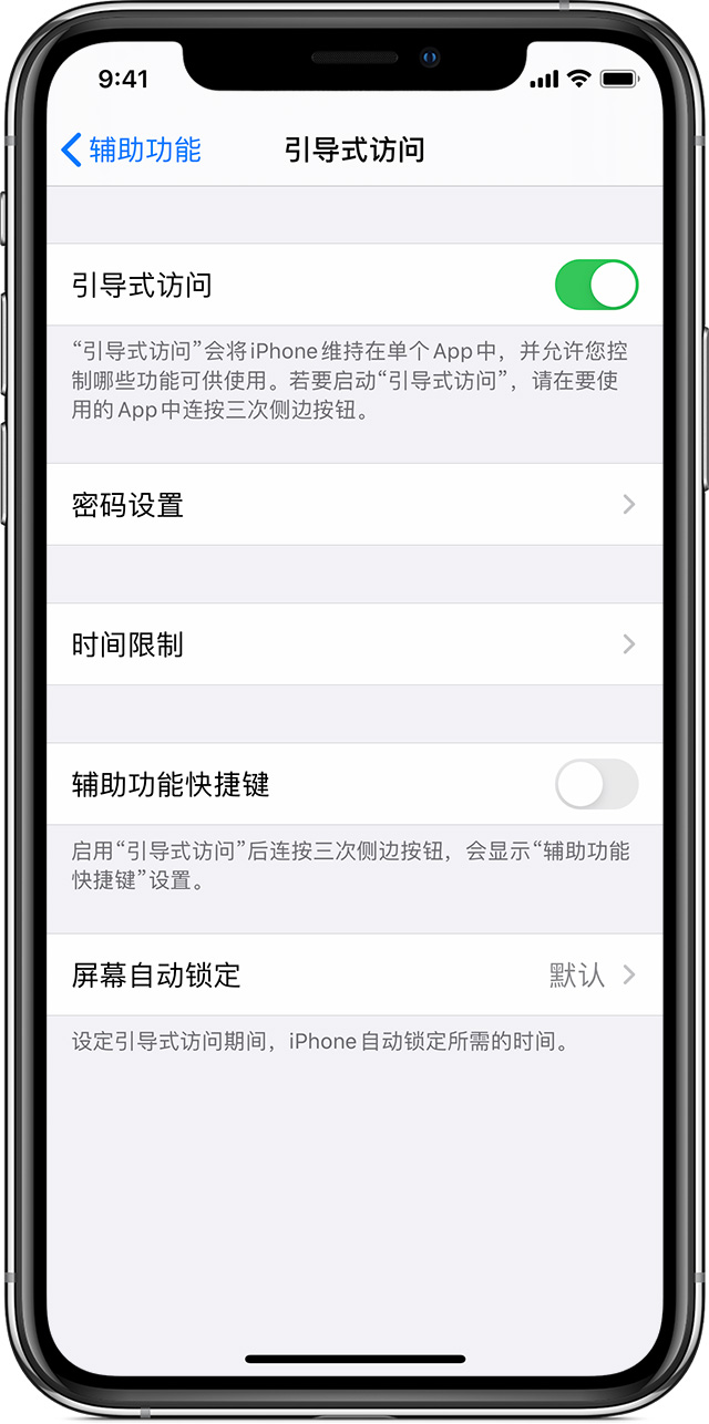 卢龙苹果手机维修分享如何在 iPhone 上退出引导式访问 