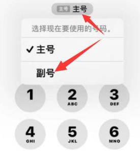 卢龙苹果14维修店分享iPhone 14 Pro Max使用副卡打电话的方法 