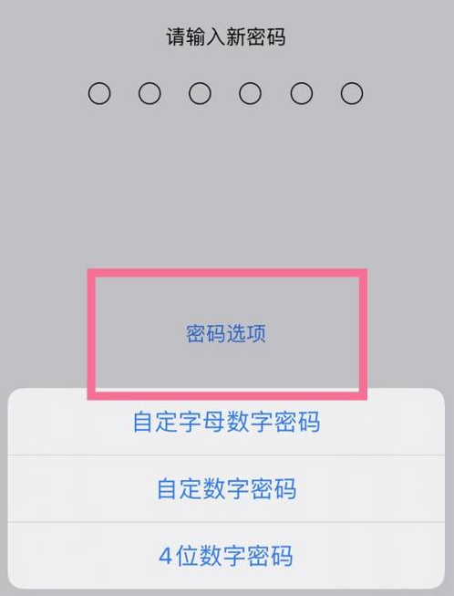 卢龙苹果14维修分享iPhone 14plus设置密码的方法 