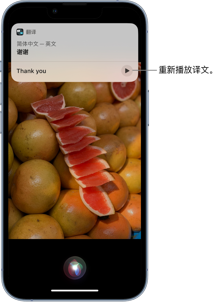 卢龙苹果14维修分享 iPhone 14 机型中使用 Siri：了解 Siri 能帮你做什么 