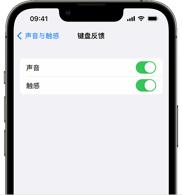 卢龙苹果14维修分享iPhone 14 系列机型如何开启键盘声音或触感反馈 