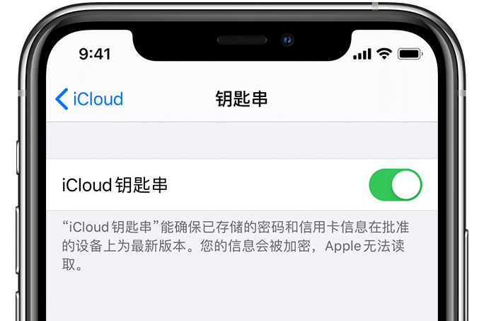 卢龙苹果手机维修分享在 iPhone 上开启 iCloud 钥匙串之后会储存哪些信息 