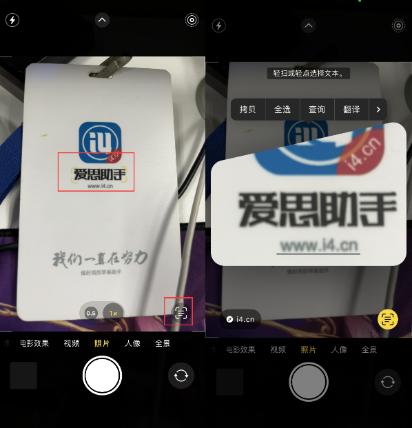 卢龙苹果手机维修分享升级iOS 16后如何通过相机翻译文本 