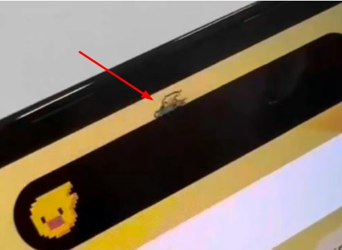 卢龙苹果14维修分享iPhone 14 Pro Max灵动岛怎么养宠物 