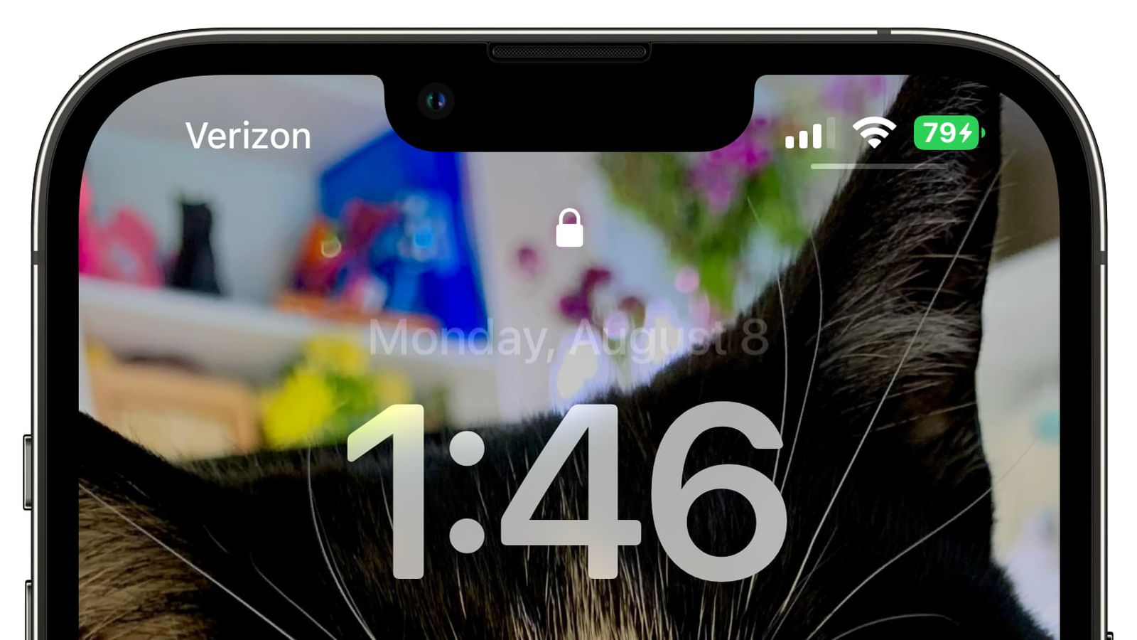卢龙苹果手机维修分享iOS 16 beta 5 支持状态栏显示电池百分比，如何开启？支持哪些机型 