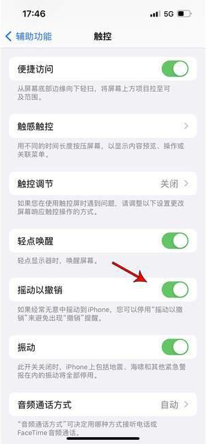 卢龙苹果手机维修分享iPhone手机如何设置摇一摇删除文字 