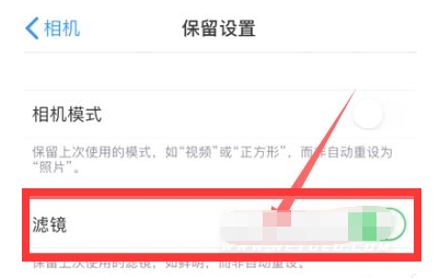 卢龙苹果13维修分享iPhone13拍照有绿点是怎么回事 