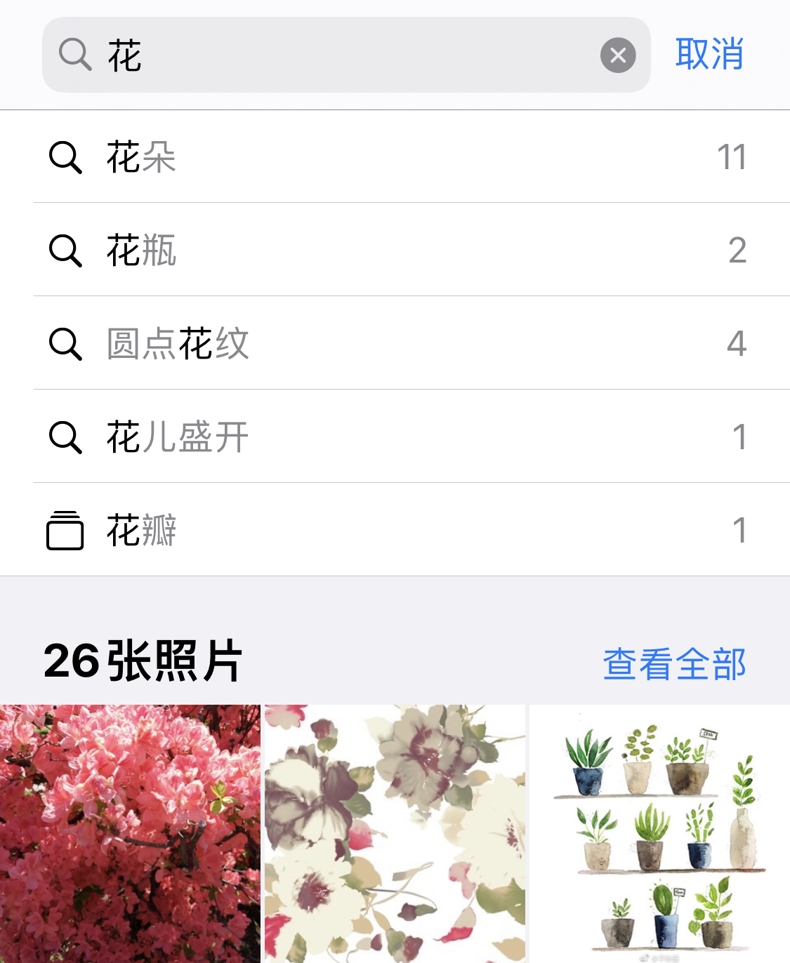 卢龙苹果手机维修分享iPhone 小技巧 