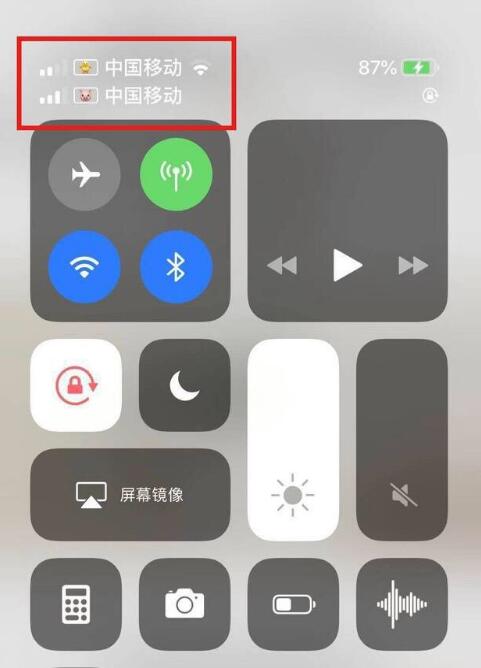 卢龙苹果手机维修分享为 iPhone 12 双卡设置标签 