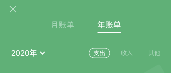 卢龙苹果手机维修分享如何在 iPhone 上查看支付宝和微信年支出账单 