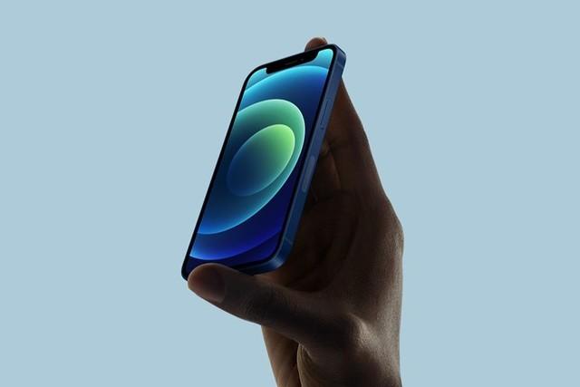 卢龙苹果手机维修分享iPhone 12 mini辐射很大吗 